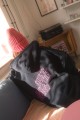 DSC00254.JPG